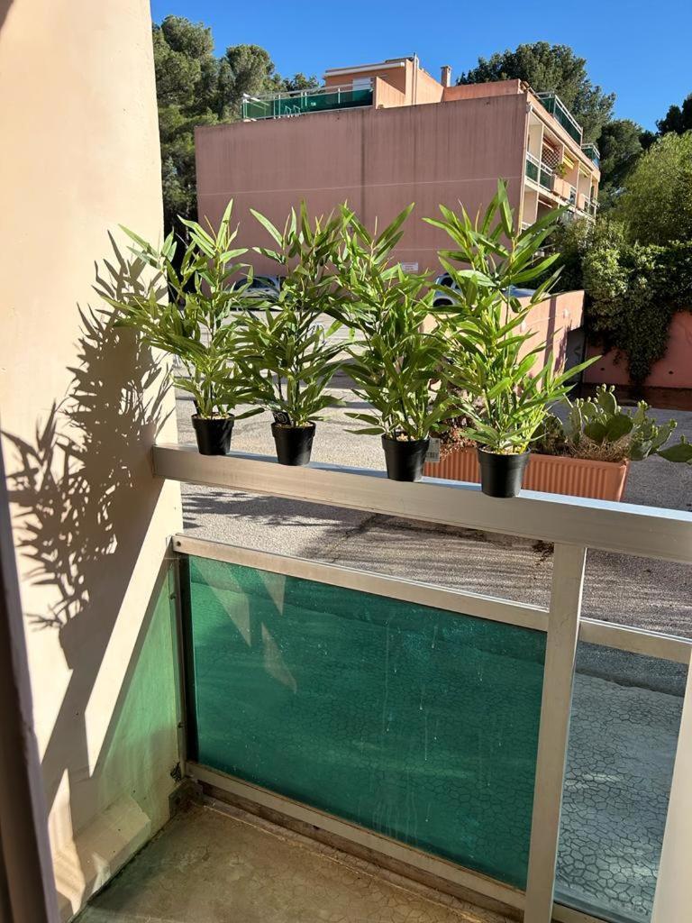 Studio Meuble Bord De Mer Bormes-les-Mimosas Eksteriør bilde